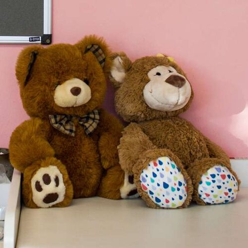 zwei Teddybären